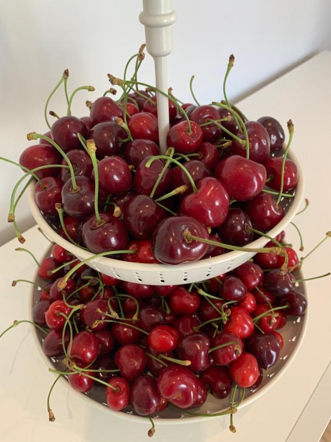 Miglianico B&B IV Vico מראה חיצוני תמונה